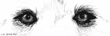 Eye Am The Way