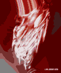 Paranormal Valentine
